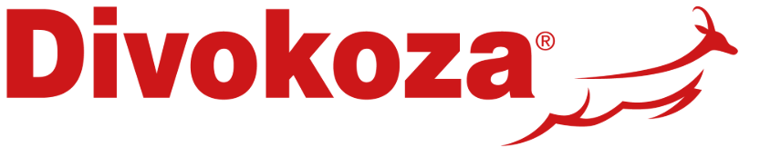 Webshop Logo